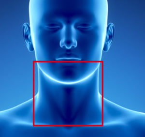 Neck