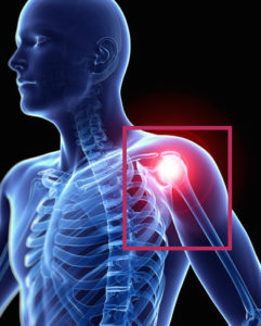 Shoulder
