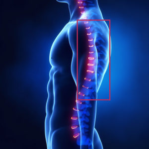 Tspine